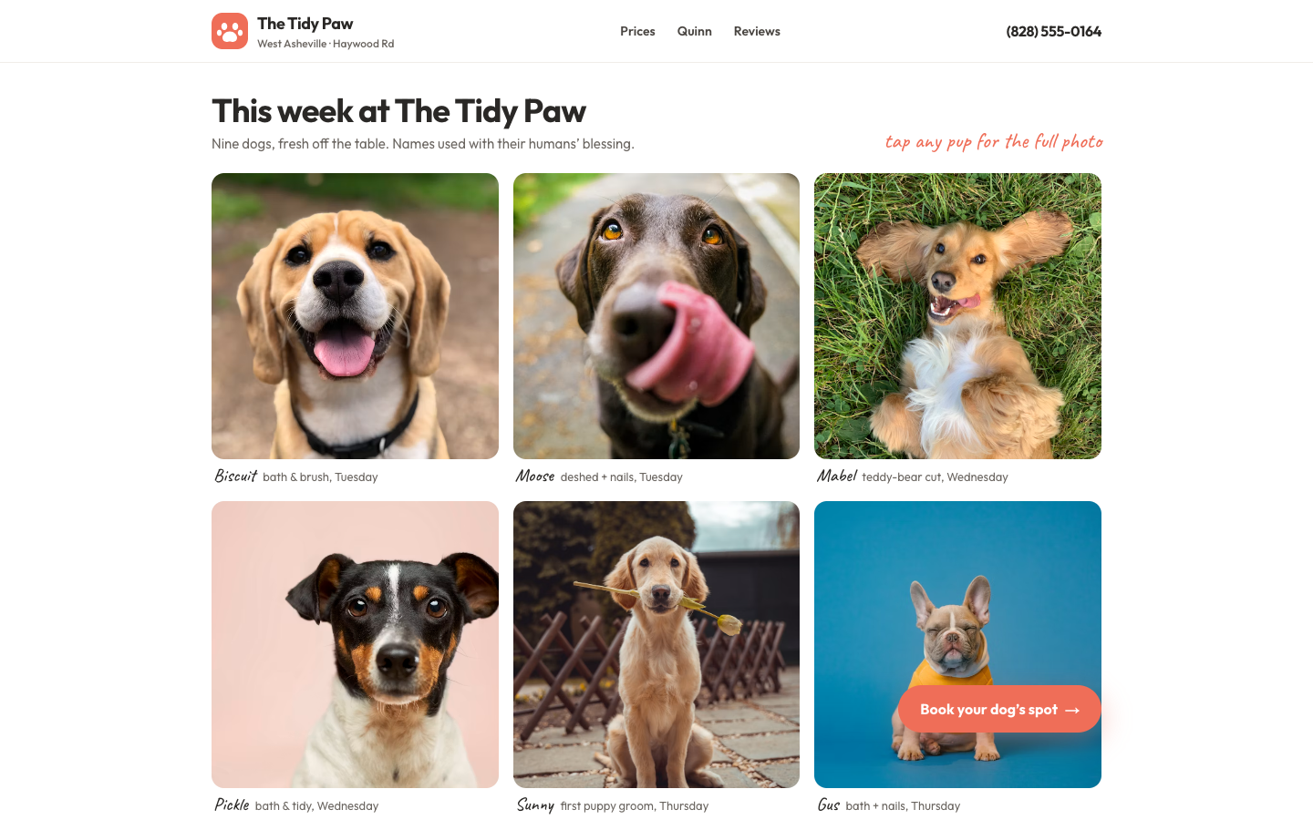Pet Grooming — Fresh Grooms Grid — captured preview